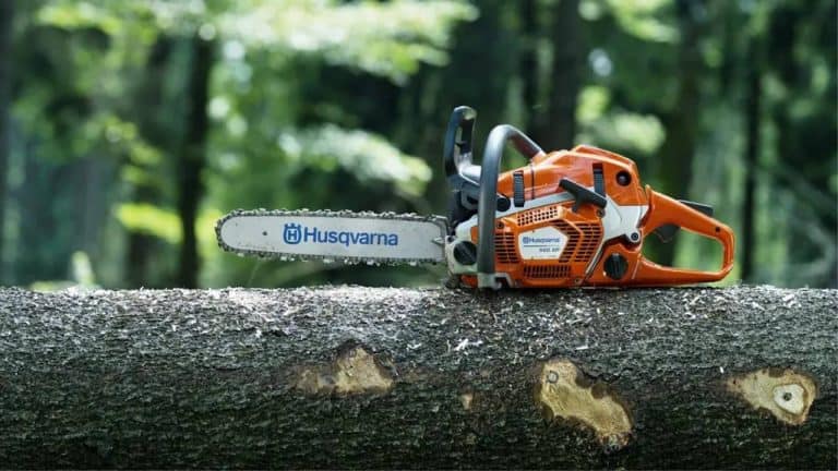 Best Carving Chainsaw Reviews