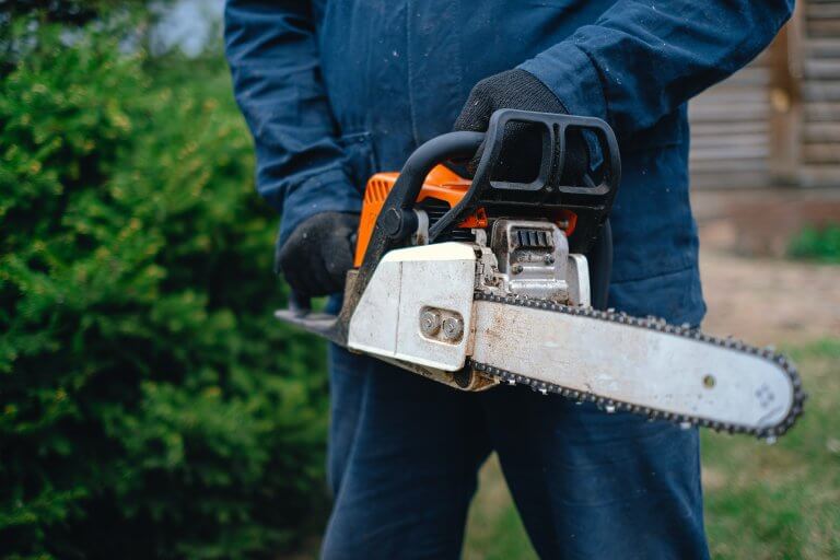 Why You Should Care About Your Chainsaw's Parts